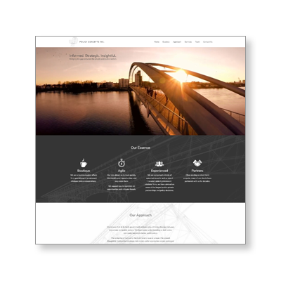 Public Affairs Firm Website Design